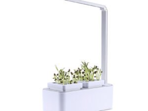 Clean And Beautiful Soilless Culture Hydroponic Self-Absorbent Herb Vegetable Planting Box Trough Cute Flower Pot Set