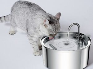 Stainless Steel Water Dispenser Automatic Fountain